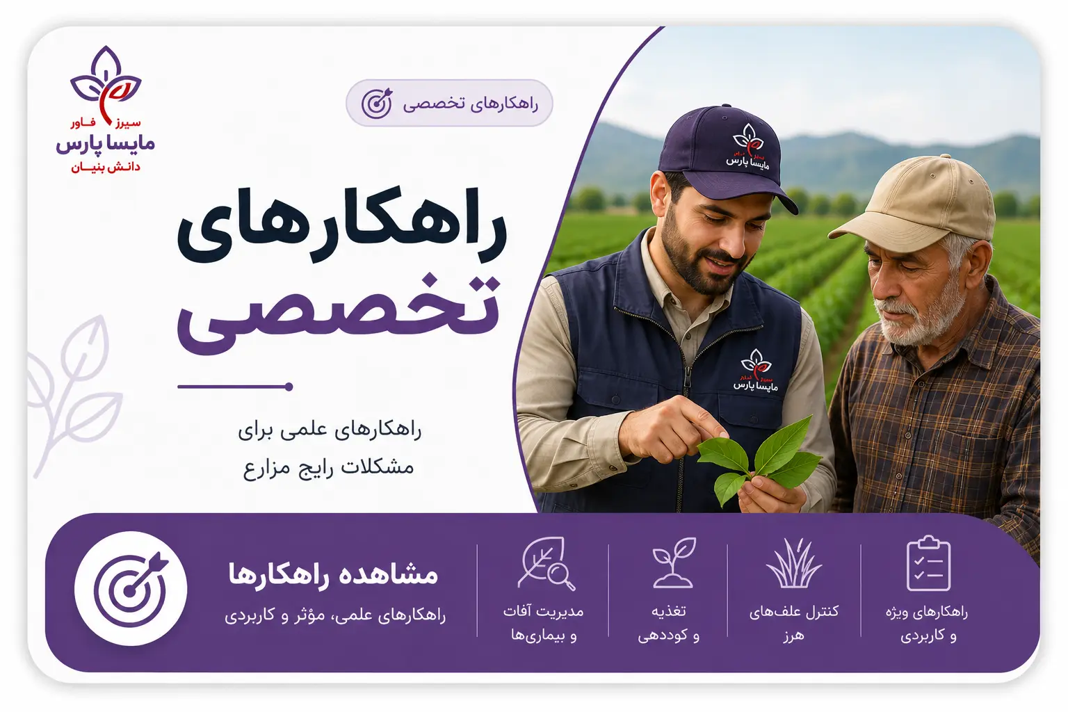 راهکارهای تخصصی